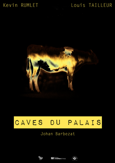 Caves du Palais